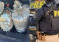 PRF apreende 21,8 kg de Skunk após perseguição em Pernambuco