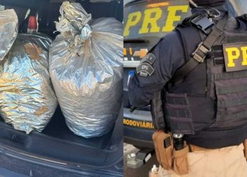 PRF apreende 21,8 kg de Skunk após perseguição em Pernambuco