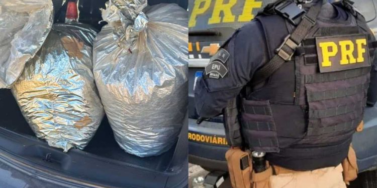 PRF apreende 21,8 kg de Skunk após perseguição em Pernambuco
