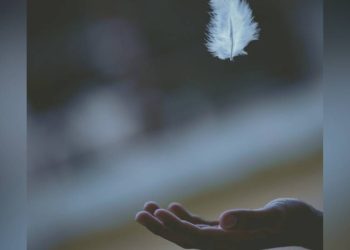 Leveza e profundidade, o equilíbrio na arte de viver