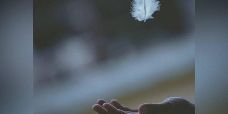 Leveza e profundidade, o equilíbrio na arte de viver