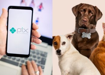 Ministro rebateu informações falsas que têm circulado na internet nos últimos dias sobre a criação ou o aumento de tributos