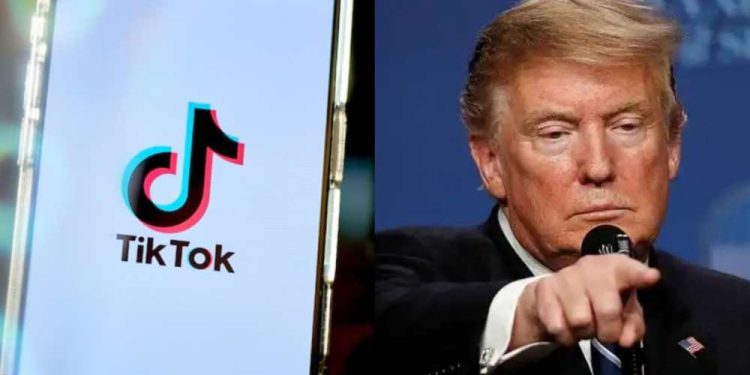 TikTok retorna aos EUA após breve bloqueio por questões de segurança nacional