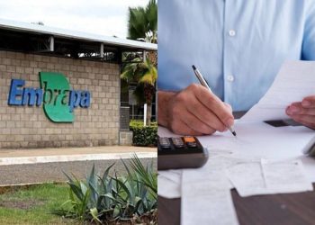 Licença especial da Embrapa gera gasto milionário e super salários acima do teto constitucional