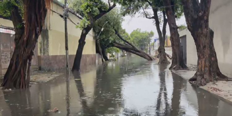Chuvas no Grande Recife deixam 3 mortos e mais de 130 desalojados