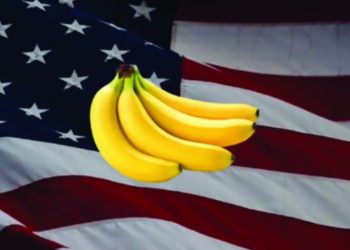 Política instável e líder autocrático preocupam estadunidenses