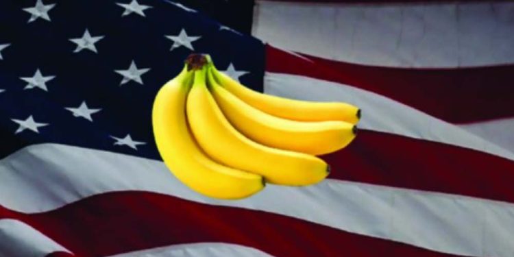 Política instável e líder autocrático preocupam estadunidenses