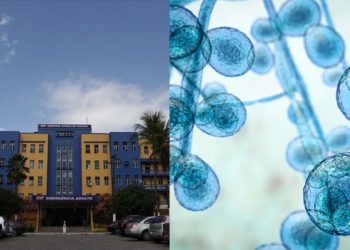 Infectados tiveram passagem em vários setores do hospital