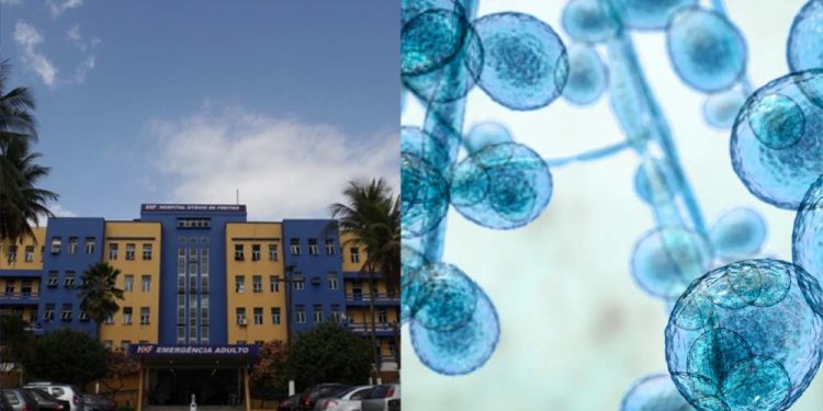 Infectados tiveram passagem em vários setores do hospital