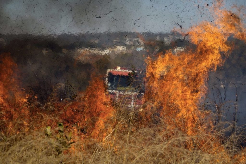 Desmatamento no Cerrado dispara nos primeiros anos de Lula