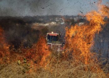 Desmatamento no Cerrado / Foto: Nina Quitana
