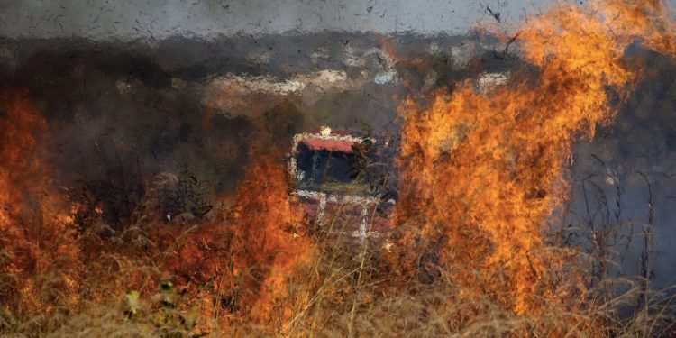 Desmatamento no Cerrado / Foto: Nina Quitana