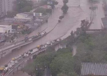 Defesa Civil atende ocorrências após temporal atingir São Paulo e região metropolitana