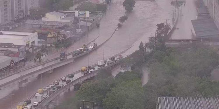 Defesa Civil atende ocorrências após temporal atingir São Paulo e região metropolitana