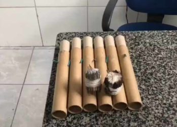 Bombas com pregos é recolhida pela Polícia com criminosos nas ruas do Recife
