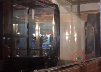 Cliente flagra rato no Dom Ferreira, em Olinda, e relata naturalidade de funcionários