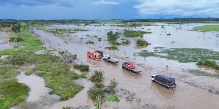 Rodovia 425, em Rondônia, coberta por água