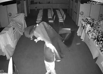 Trio é preso após invadir prédio de órgão da OAB-SP