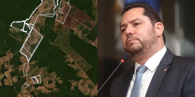 Ibama solicita manutenção de multas milionárias por desmatamento ilegal contra presidente da Câmara do Recife