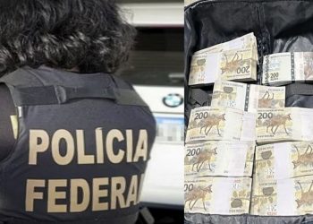 Dinheiro apreendido no Aeroporto de Brasília. Foto: Divulgação