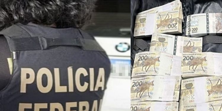 Dinheiro apreendido no Aeroporto de Brasília. Foto: Divulgação
