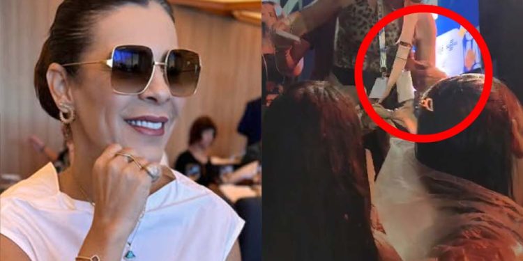 Vídeo flagrou momento em que empresária é puxada por pessoa na plateia