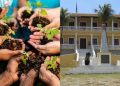 Sustentabilidade e conscientização em Fernando de Noronha