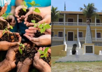 Sustentabilidade e conscientização em Fernando de Noronha