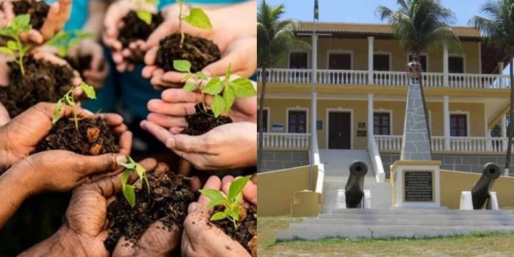 Sustentabilidade e conscientização em Fernando de Noronha