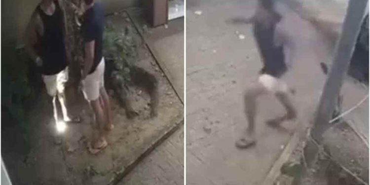 "Mirei na perna para evitar algo mais grave", diz delegado