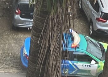 CTTU reboca diariamente veículos sem o tíquete da Zona Azul.