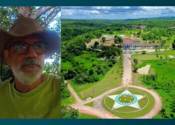 O projeto prevê devastar 90 hectares de Mata Atlântica.