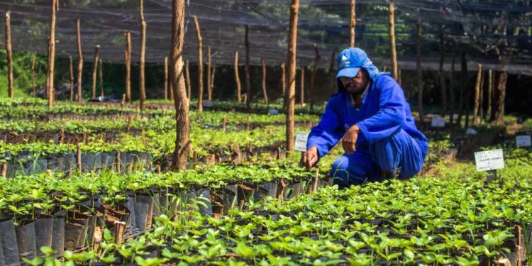 Complexo de Suape celebra semana do meio ambiente