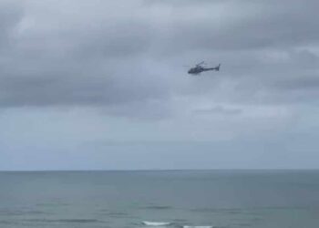 Buscas intensificadas por jovem desaparecida e cão de estimação