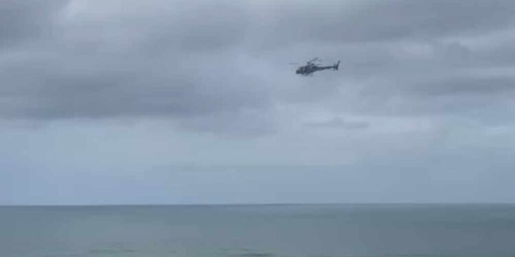 Buscas intensificadas por jovem desaparecida e cão de estimação