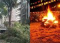 Podas de árvores revoltam moradores no Recife próximo ao São João