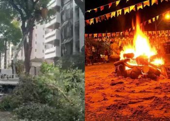 Podas de árvores revoltam moradores no Recife próximo ao São João