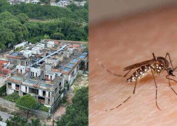 Construtora Haut abandona obras e água acumulada aumenta risco de proliferação de mosquitos