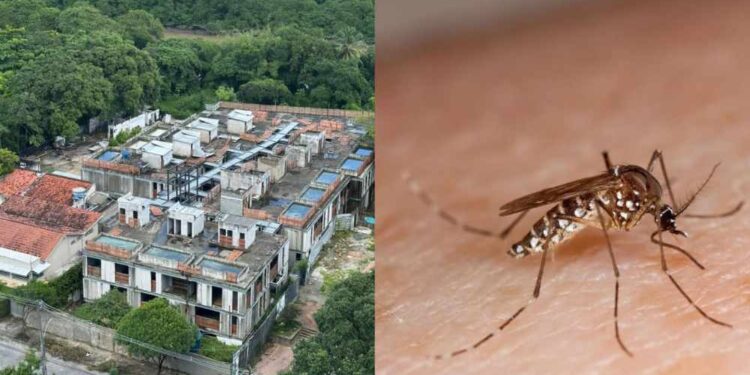 Construtora Haut abandona obras e água acumulada aumenta risco de proliferação de mosquitos