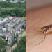 Construtora Haut abandona obras e água acumulada aumenta risco de proliferação de mosquitos