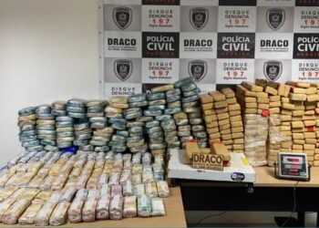 Foto: Polícia Civil/Divulgação