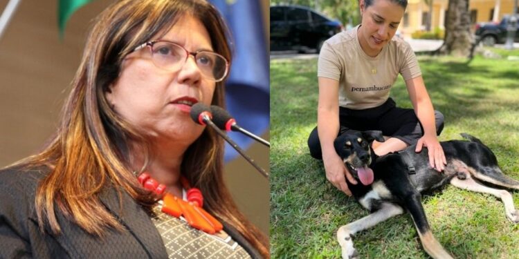 A pasta irá executar políticas públicas de proteção aos animais em todo o estado.