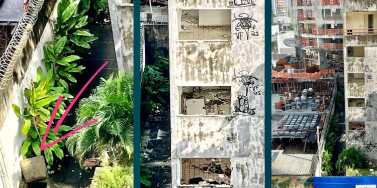 As construções acumulam lixo e focos de escorpiões e de mosquitos.