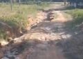 Moradores reclamam de abandono e cobram melhorias na Rua VC10 em Cabo de Santo Agostinho