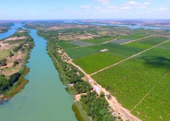 Nova tarifa dos EUA ameaça exportações de frutas do Vale do São Francisco