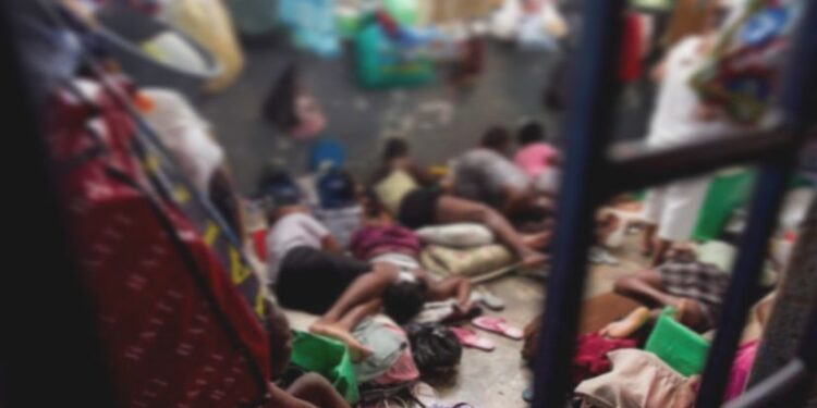 Investigação revela possível ligação entre comércio de barrigas de aluguel e tráfico de crianças