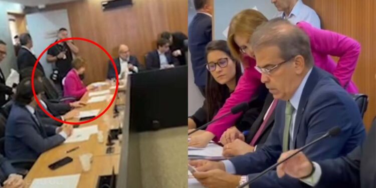 Jornalista Terezinha Nunes (de rosa) durante sessão da Alepe