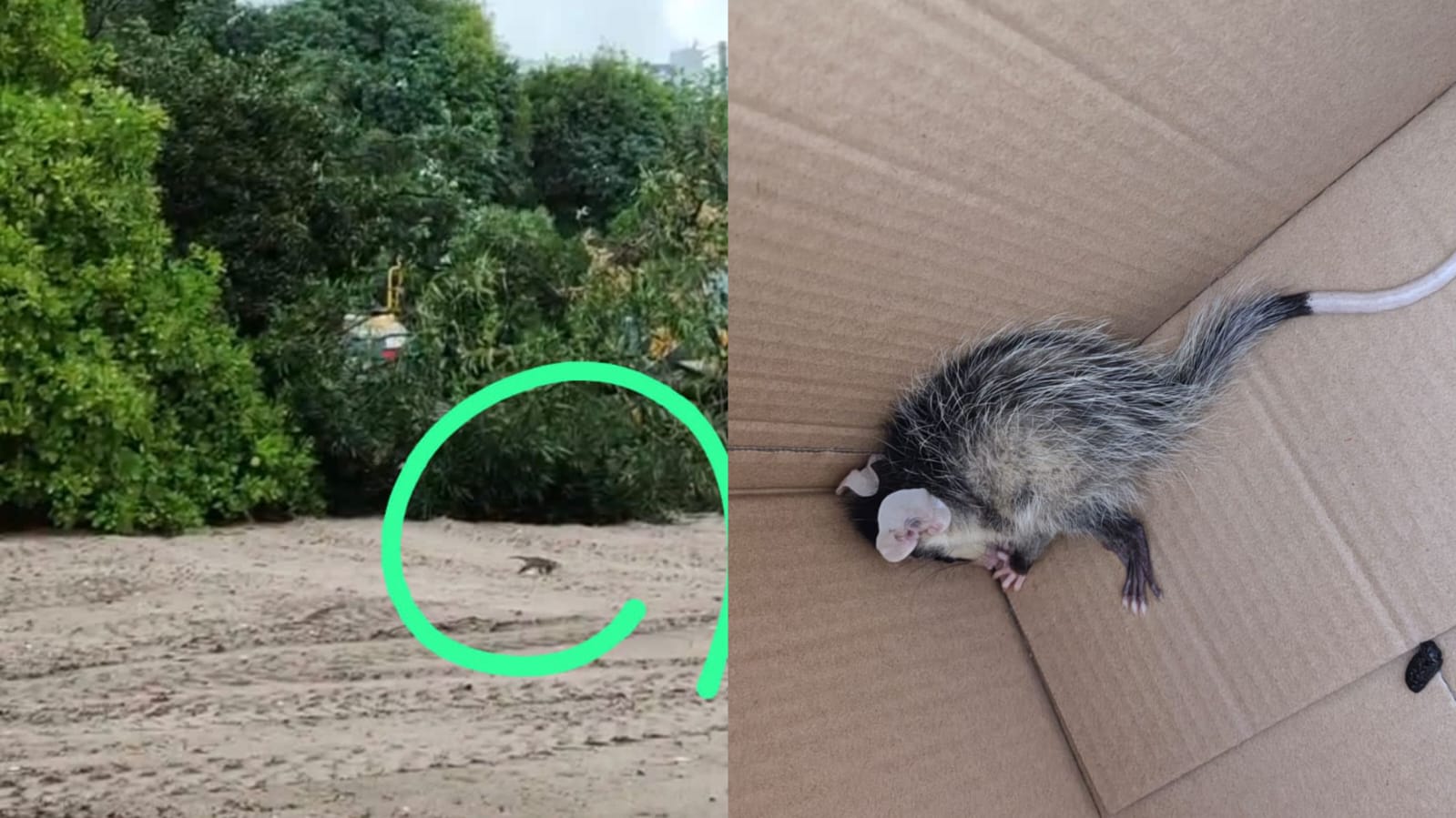 Construção de habitação popular gera polêmica com moradores por impactos ambientais