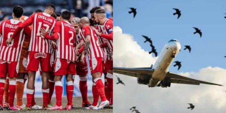 Incidentes com voos marcam ida e volta para o Náutico