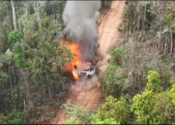 Ação teve como objetivo combater a exploração ilegal de madeira